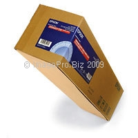 Epson Premium GLOSSY Photo Paper 250 (S041638)