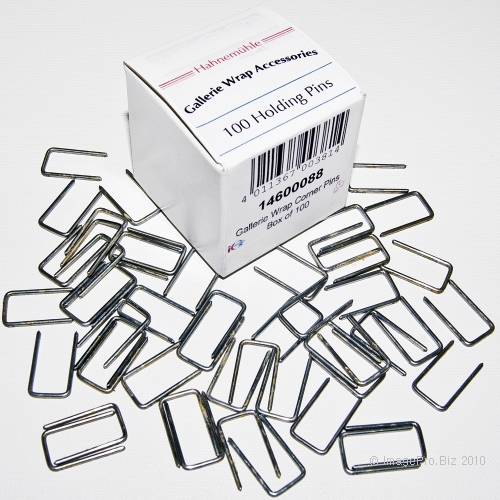 Corner Holding Pins, 100 per box