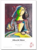 Albrecht Durer 210 gsm in 11" x 17"   20 Sheets