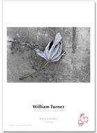 William Turner 310gsm in 24 x 39#39 Roll, 3 core