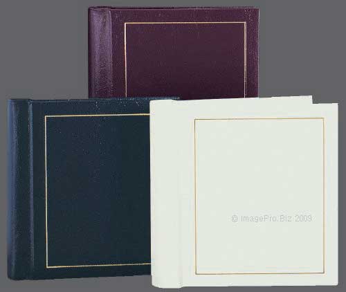 TAP Parade white 4x6 Album